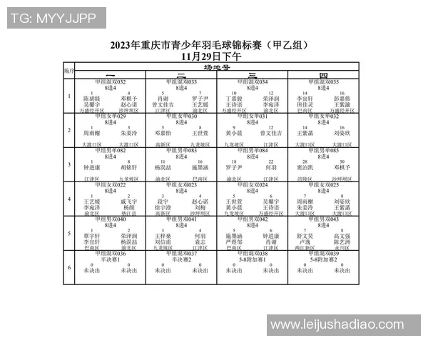 重庆羽毛球队在世界锦标赛中的个人能力展现与分析
